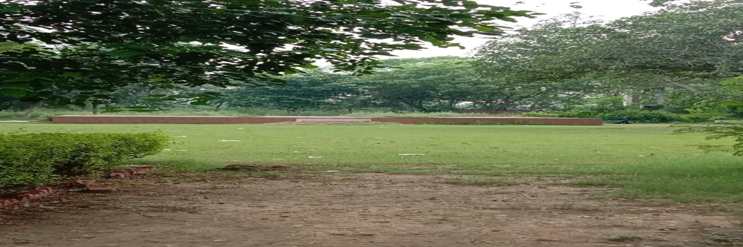 College Banner 5